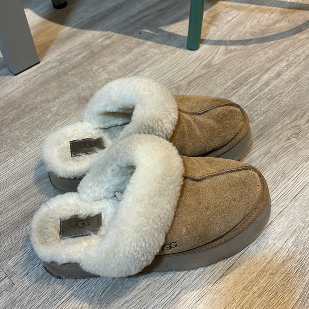 Ugg disquette slipper